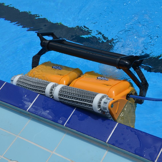 dolphin 2×2 gyro 1